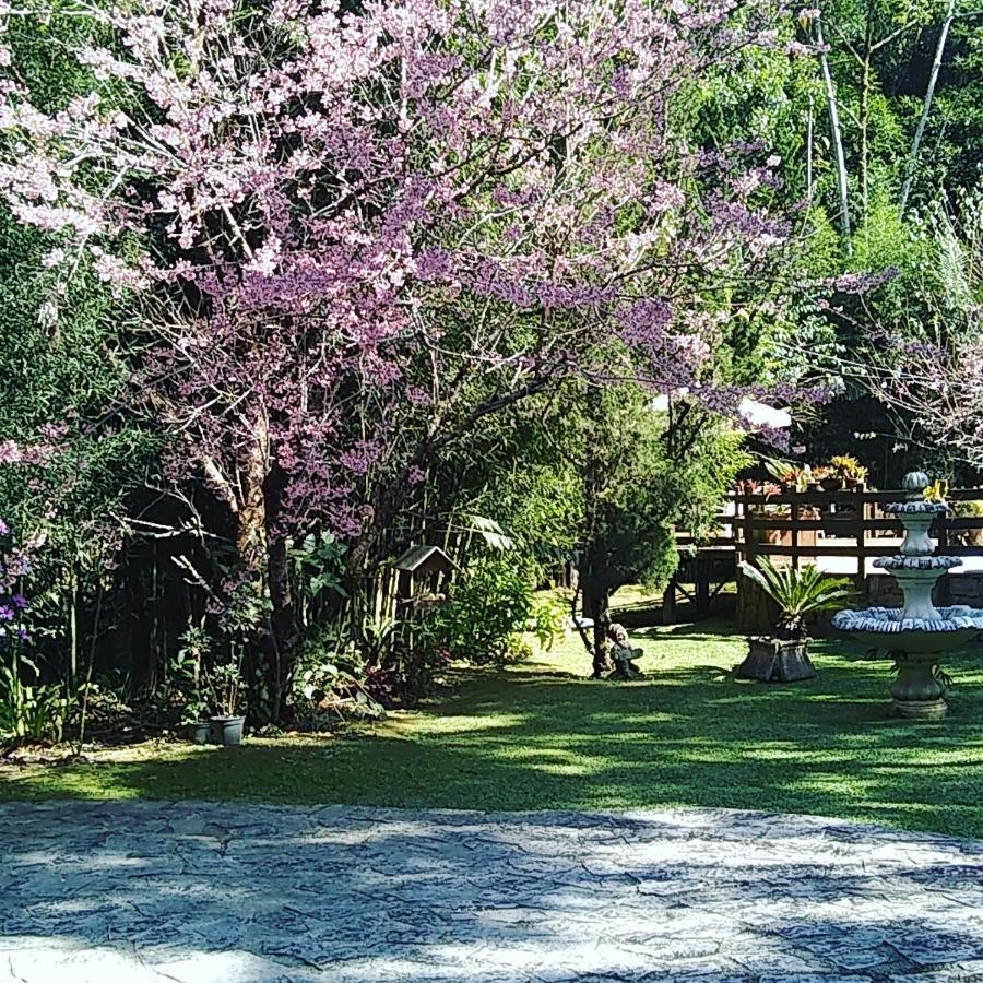 Havila Arara Azul Nova Friburgo Exterior photo
